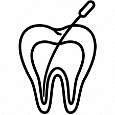 اندودنتیکس Endodontics